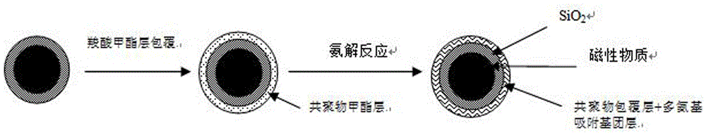 磁性固體多氨基吸附劑顆粒材料、制備方法及其應(yīng)用與流程