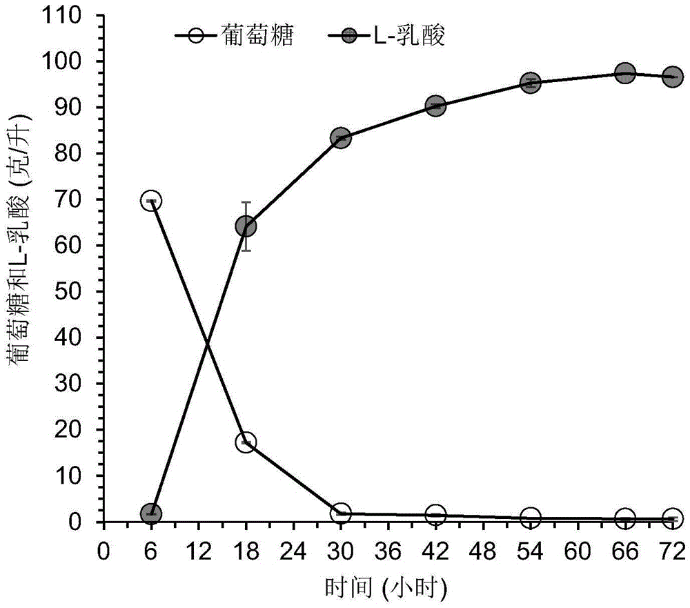 一种基于产乳酸片球菌素的乳酸菌的开放式乳酸生产方法与流程