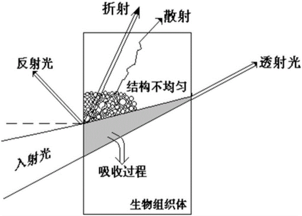 血糖檢測(cè)儀的制作方法與工藝