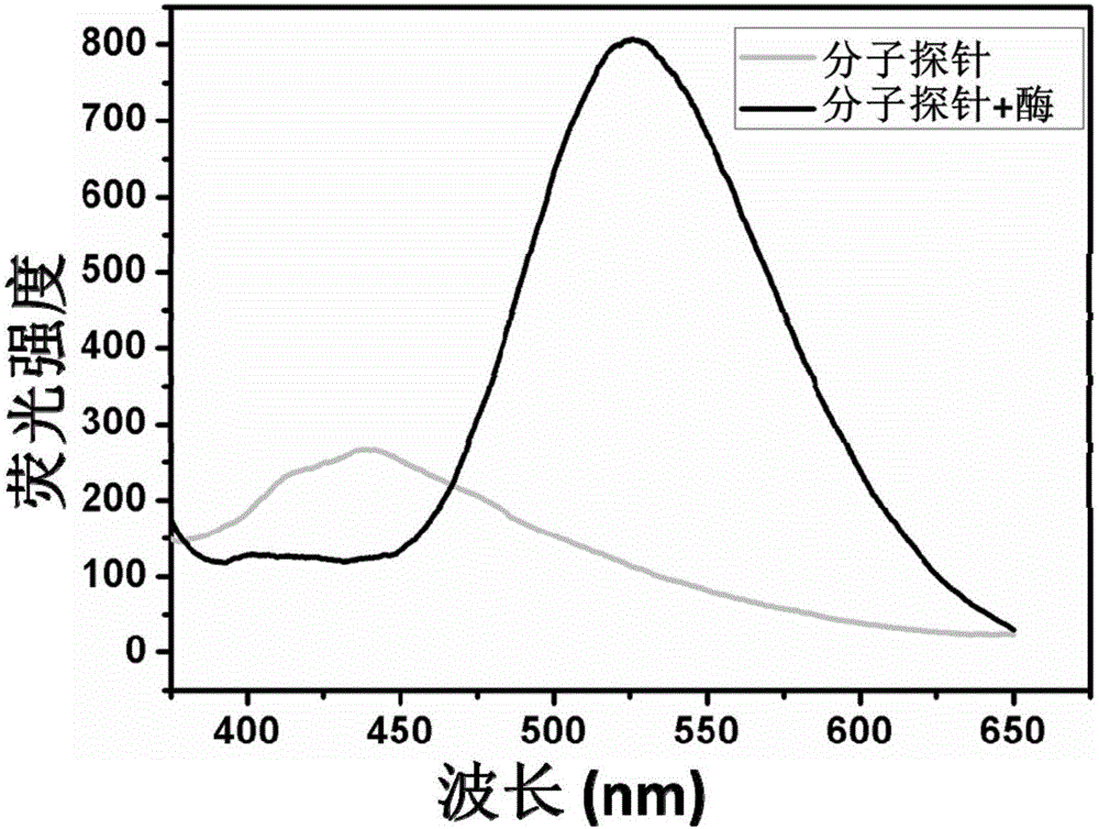 一種分子探針及其制備方法和應(yīng)用與流程