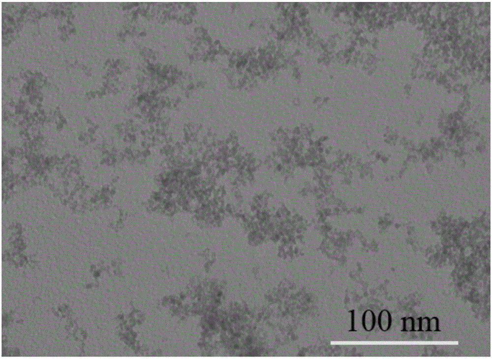 一种可见光响应型光还原活性SnO2‑X纳米颗粒的制备方法与流程