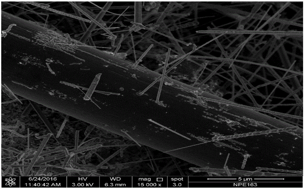 一种原位生长碳化硅纳米线增强多孔碳复合材料的制备方法与流程