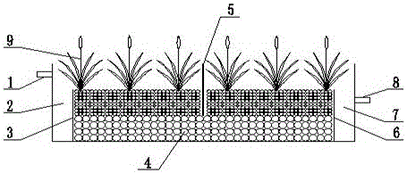 一种以菖蒲为植被的人工湿地装置的制作方法
