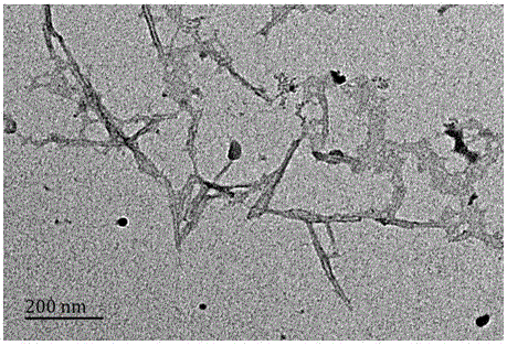 一种羧基化改性的纤维素纳米晶须的制备方法与流程