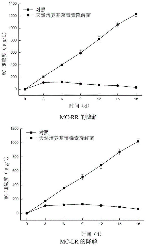 一种获得可持续降解藻毒素的微生物的方法与流程