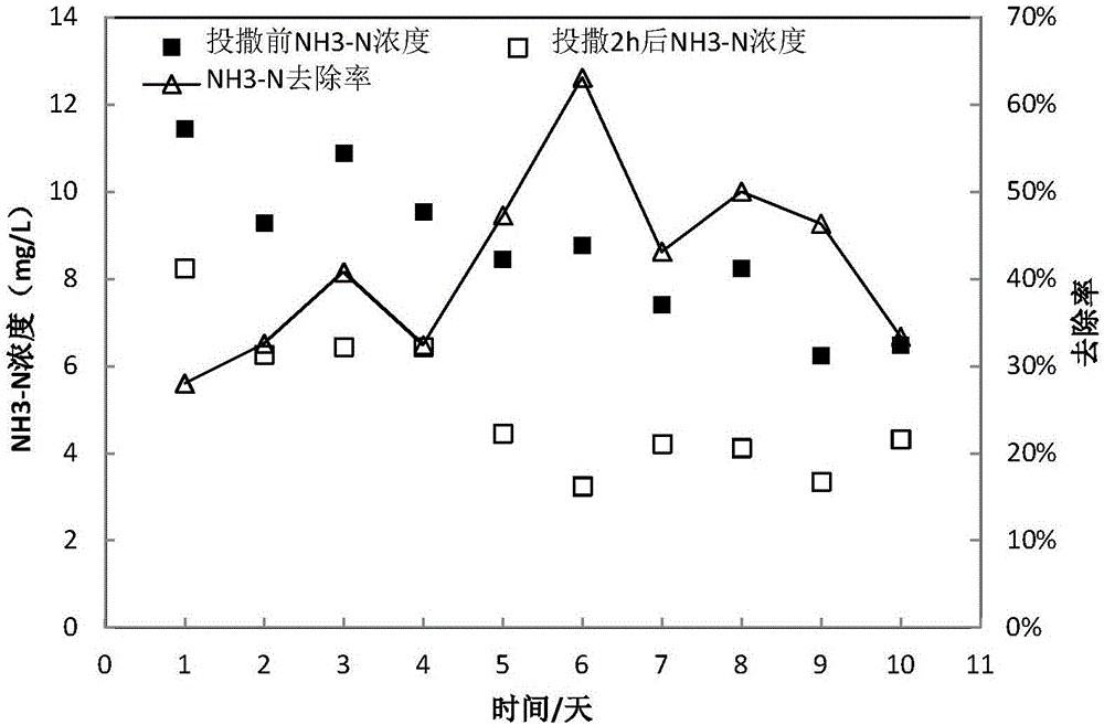 用于黑臭河道治理的复合微生物制剂及其制备方法和应用与流程