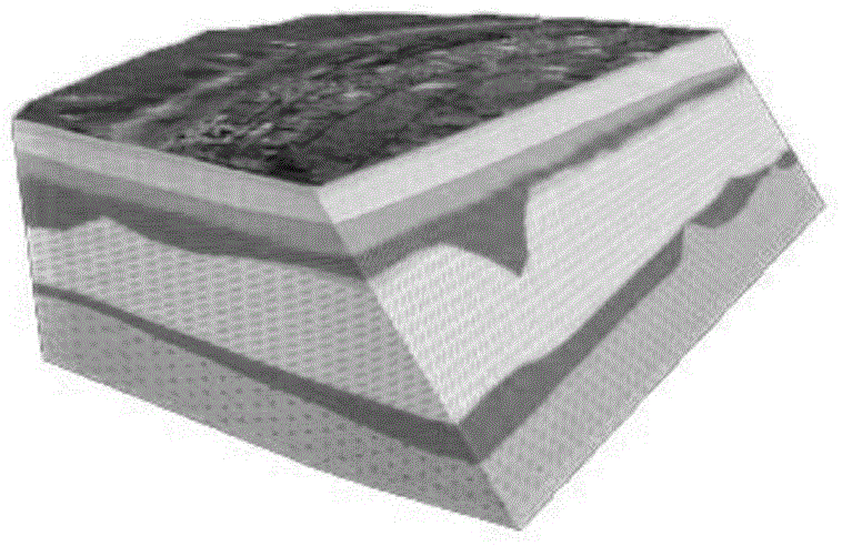 一种用于钻井的数字岩体的构建和应用方法与流程