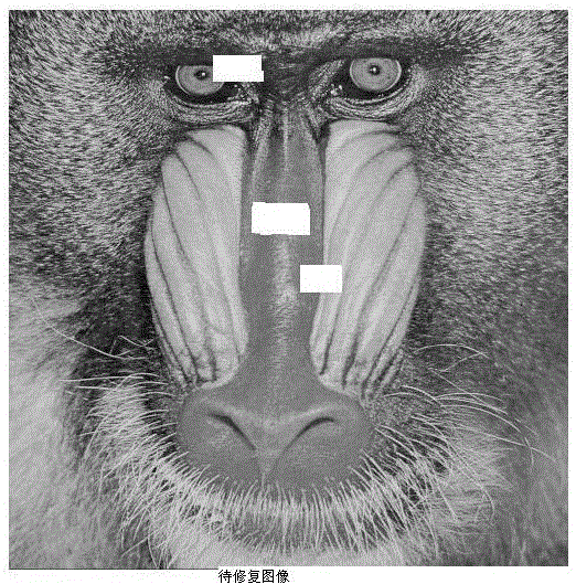 一种边缘拟合的分类稀疏表示图像修复方法与流程