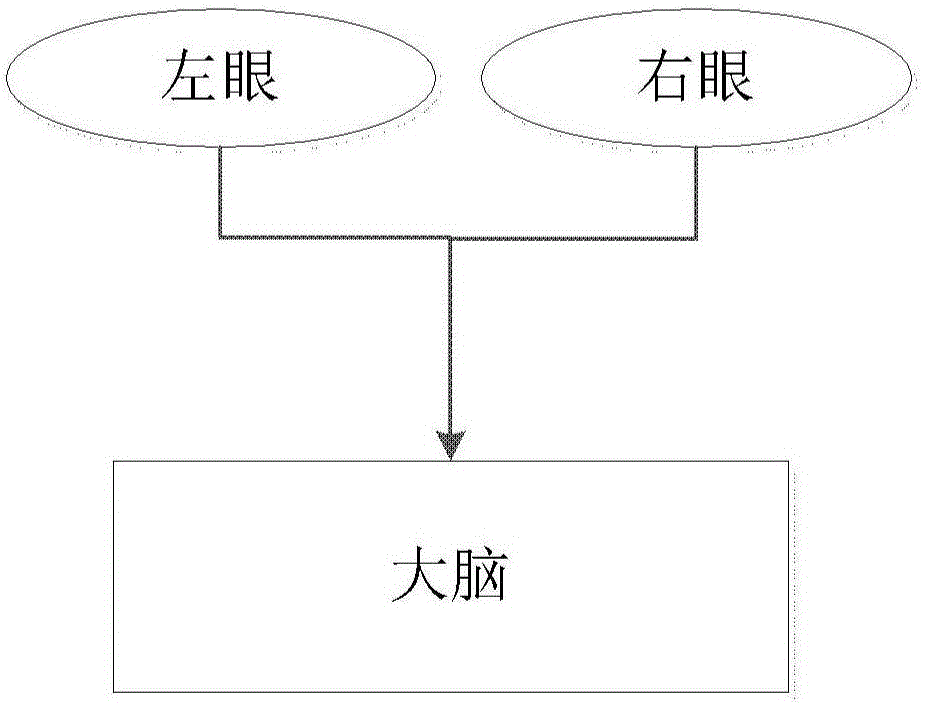 一种仿生三维信息生成系统及方法与流程