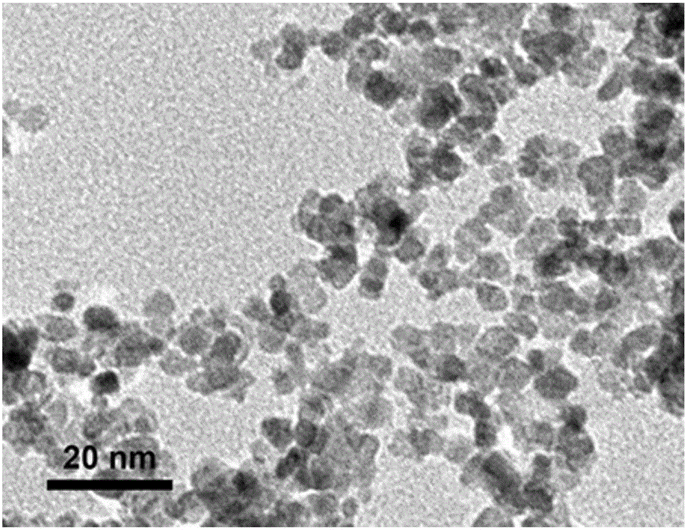一种二氧化锡纳米晶/二氧化钛纳米管复合材料的制备方法与流程