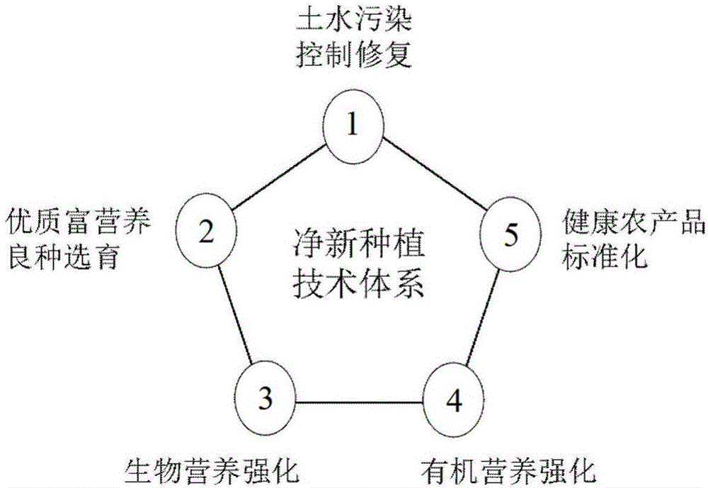 一种用净新种植技术生产农产品的方法与流程