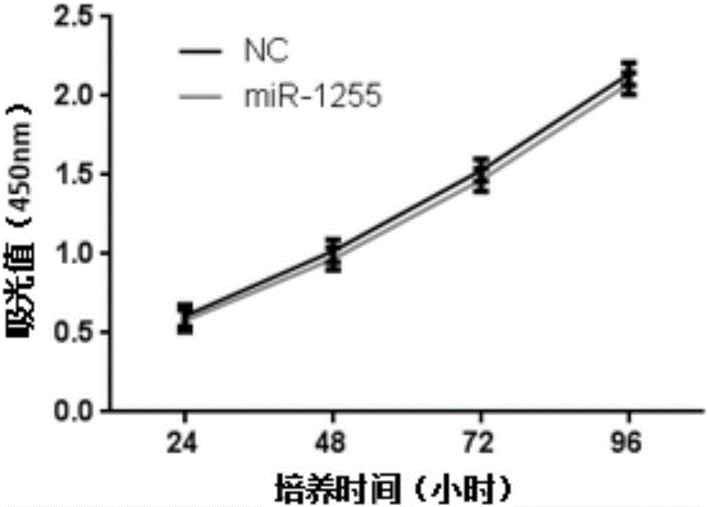 miR‑1255在制备治疗膀胱癌药物中的应用的制作方法与工艺