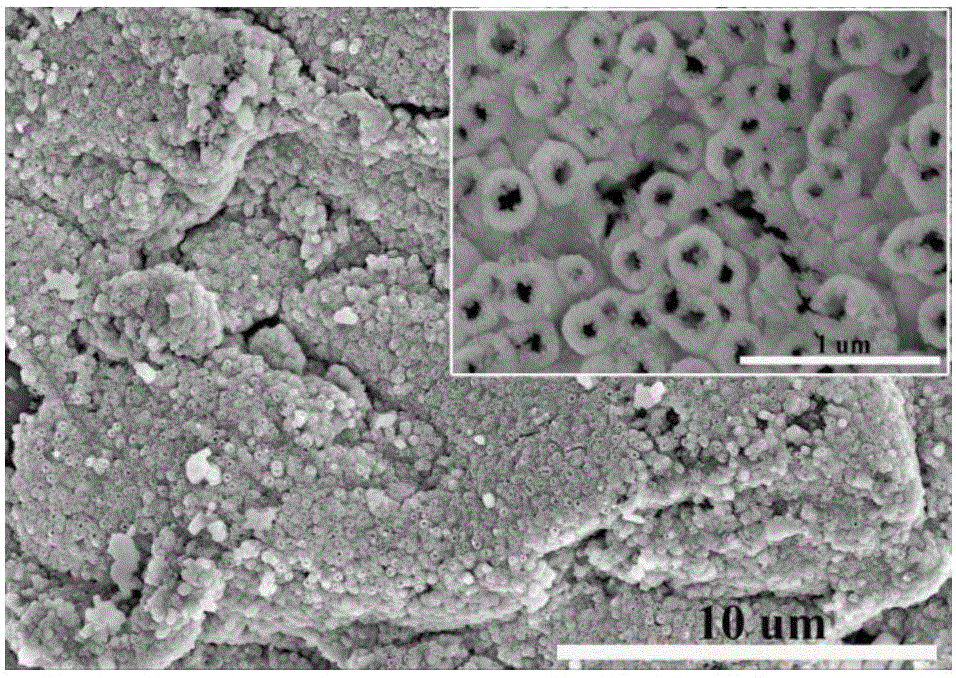 表面修饰氧化铈纳米管的活性半焦低温脱硝剂及其制备方法与应用与流程