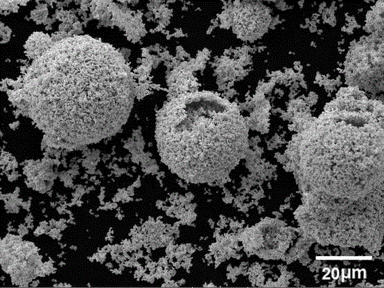 一种纳米三氧化钨空心团聚球粉末的制备方法与流程