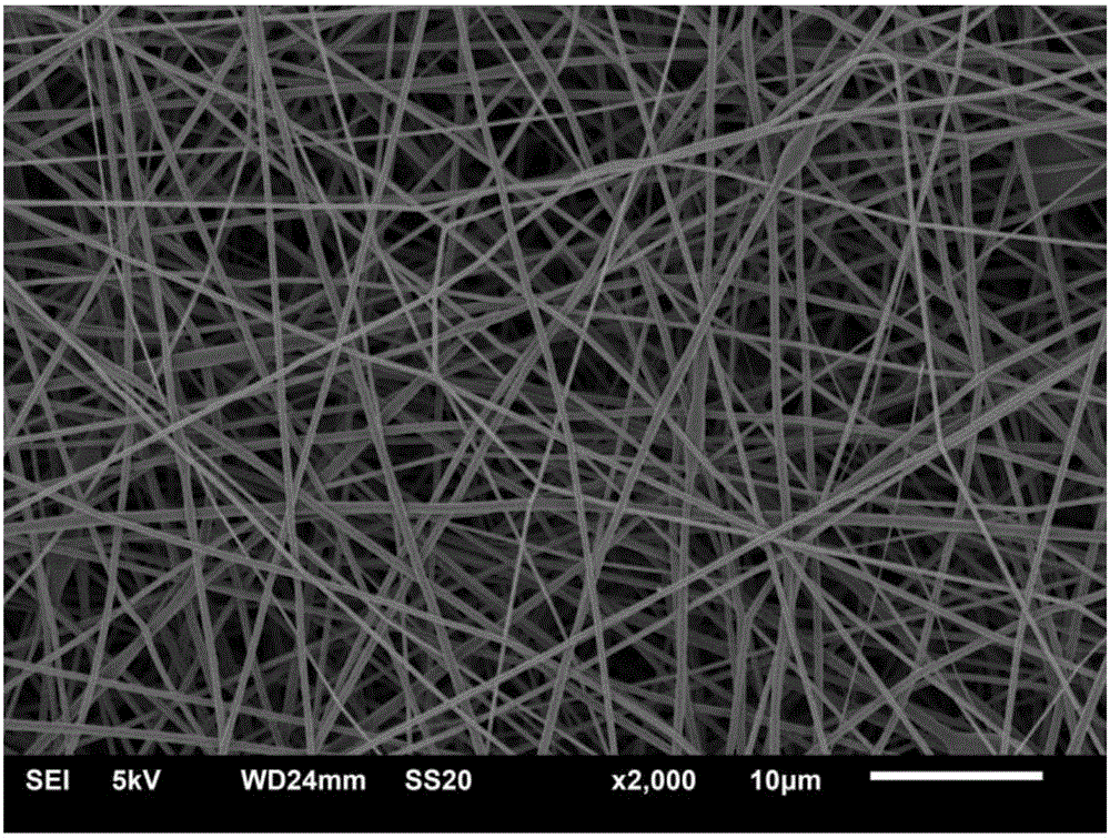 氮掺杂碳/二氧化钛复合纳米纤维载体的制备方法与流程
