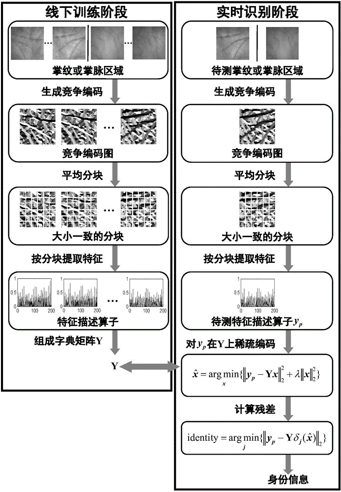 一種掌紋掌脈識(shí)別方法及掌紋掌脈圖像采集儀與流程