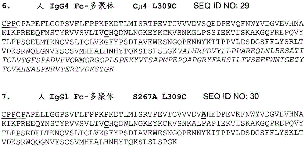 多聚体Fc蛋白的制作方法与工艺