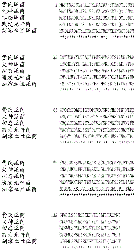 用于檢測銅綠假單胞菌的方法和裝置與流程