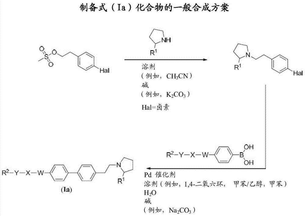 联苯基‑乙基‑吡咯烷衍生物作为组胺H3受体调节剂用于治疗认知障碍的制作方法与工艺