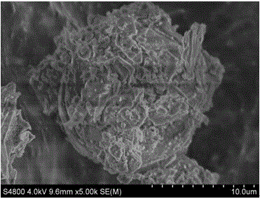 一种壳聚糖改性介孔硅藻的制备方法及其应用与流程
