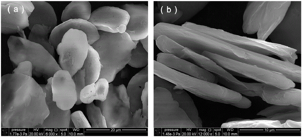 纳米颗粒增强超细晶金属基复合材料的粉末冶金制备方法与流程