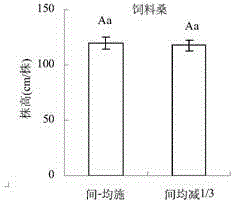 一種飼料桑/苜蓿間作的減氮施肥方法與流程