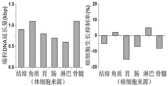 一種抗衰老保健品及其制備方法和食用方法與流程