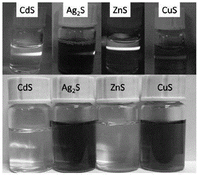 超小金属硫族化合物纳米晶、其亲生物合成方法及应用与流程
