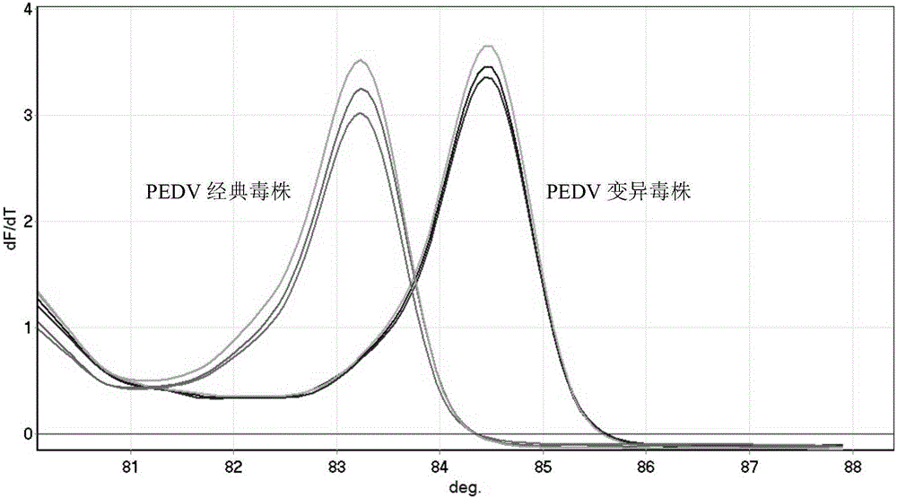 一種快速鑒別豬流行性腹瀉病毒經(jīng)典株與變異株的HRM檢測引物、試劑盒及方法與流程