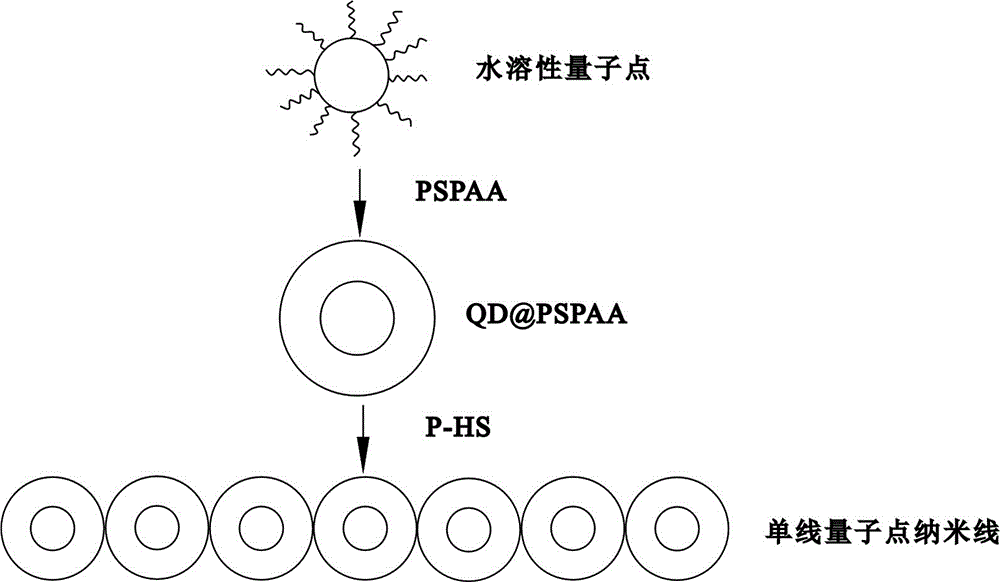 一種量子點(diǎn)納米線及其制備方法與流程