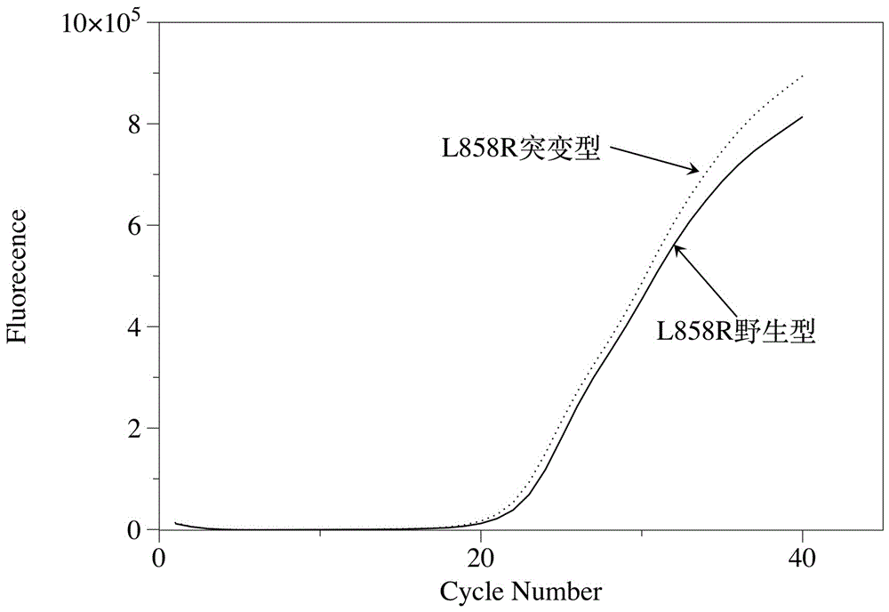 一種EGFR/L858R突變液體活檢試劑盒及其應(yīng)用的制作方法與工藝