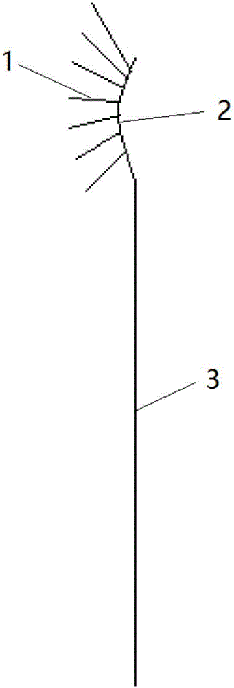 一種新型易于清潔牙刷頭及牙刷的制作方法與工藝