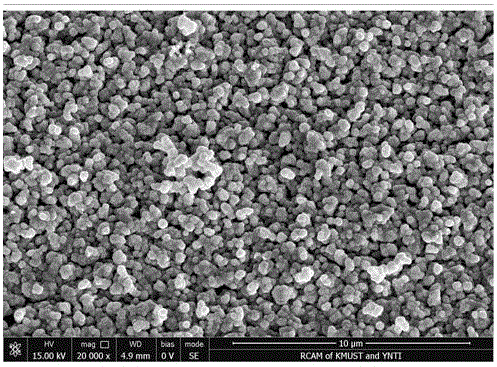 低共熔型离子液体中制备纳米多孔贵金属薄膜的方法与流程