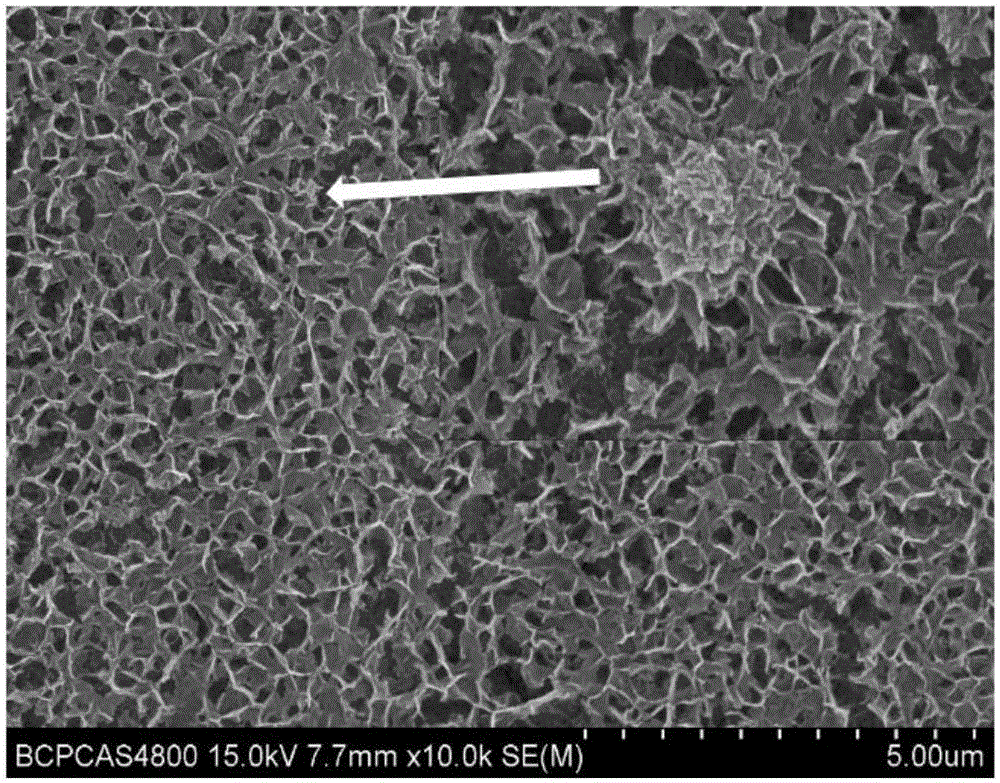 一种二氧化钛纳米管阵列固载花状氢氧化镁的方法与流程