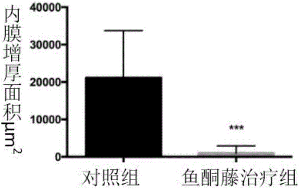 魚藤酮在制備急慢性血管損傷疾病藥物中的應(yīng)用的制作方法與工藝
