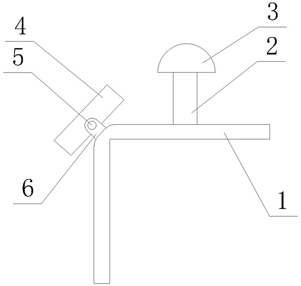 一種梯子穩(wěn)固裝置的制作方法
