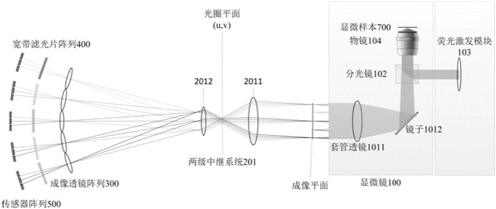 三維超光譜顯微成像系統(tǒng)及成像方法與流程