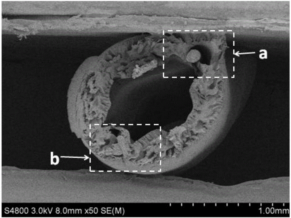 一种聚偏氟乙烯中空纤维微孔膜的制备方法与流程