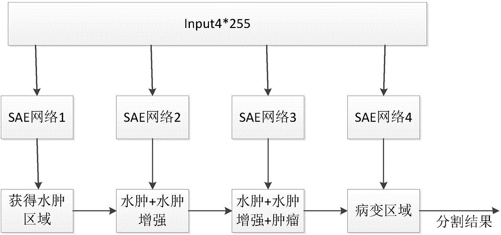 一種基于堆疊自動(dòng)編碼網(wǎng)絡(luò)的多模態(tài)腦腫瘤圖像分割方法與流程