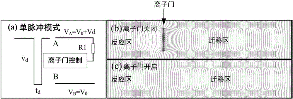 一种利用双脉冲、非对称电压控制离子门的离子迁移谱仪及检测方法与流程