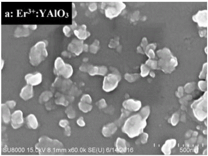 一種轉(zhuǎn)化水溶液中Cr(VI)的催化劑及其制備方法和應(yīng)用與流程