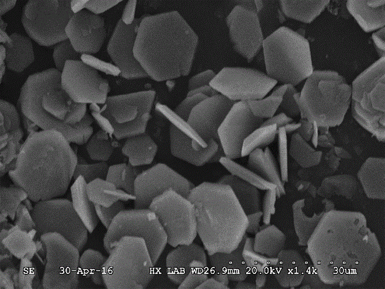 碱式钒酸钴微米片材料及其制备方法与流程