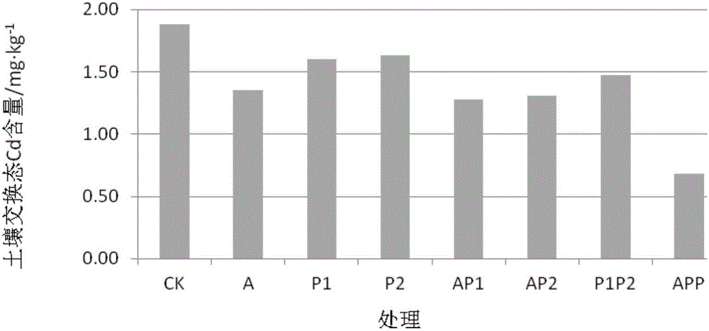 一種用于耕地重金屬污染修復(fù)的APP聯(lián)合修復(fù)方法與流程