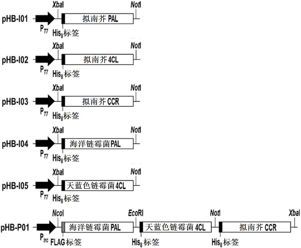 制備肉桂醛的方法與流程