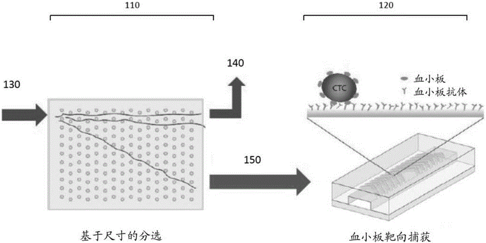 細(xì)胞的血小板靶向微流體分離的制作方法與工藝