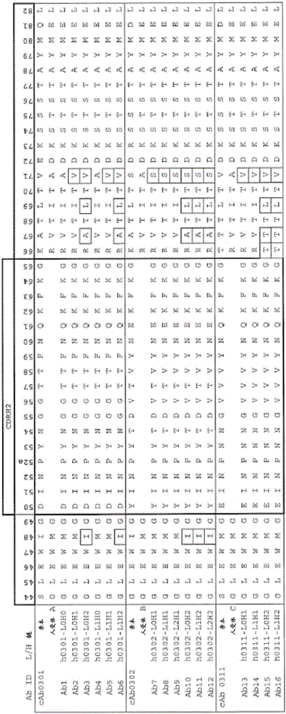 用結(jié)合集落刺激因子1受體(CSF1R)的抗體治療病狀的方法與流程