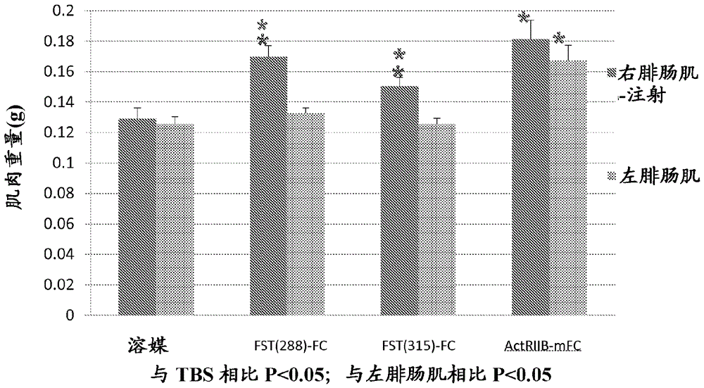 用促濾泡素抑制素多肽治療病癥的方法和組合物與流程