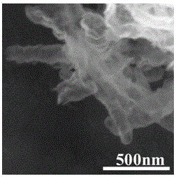 一种碳掺杂的石墨相氮化碳纳米管及其制备方法与流程