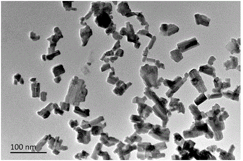 一种还原氧化钨纳米片的制备方法与流程