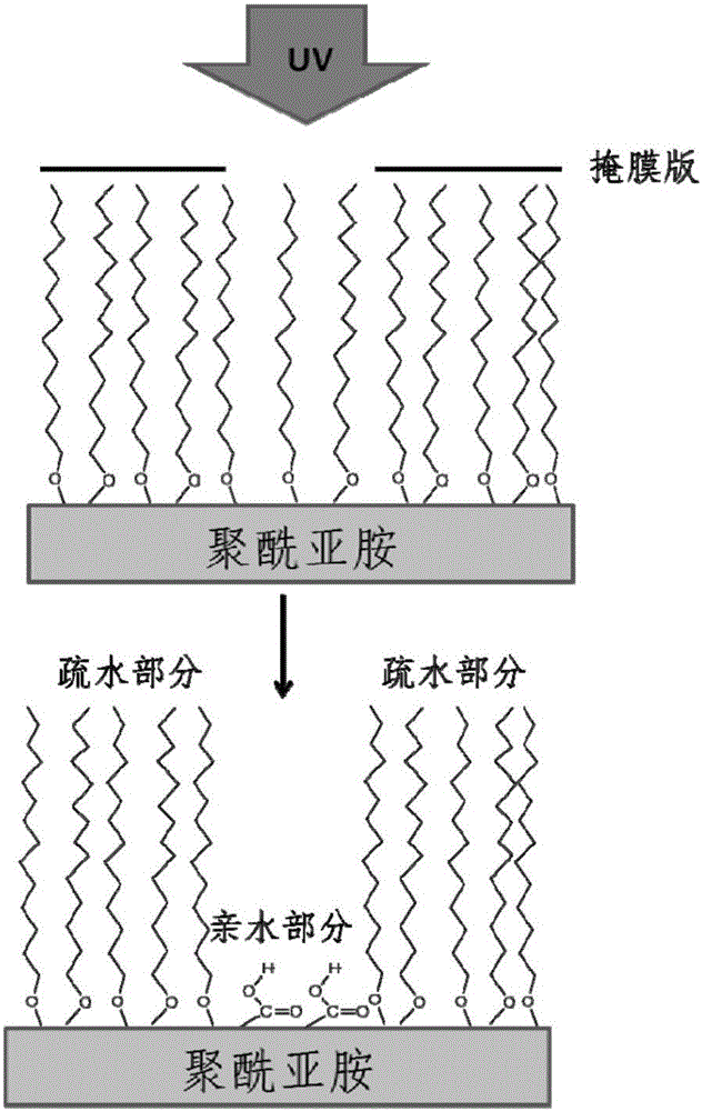 一種用于印刷電子的聚酰亞胺的制作方法與工藝